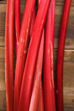 bir avuç taze organik kırmızı ravent