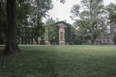 Eski duvardaki sarmaşıklı beyaz pencere. Princeton Üniversitesi özel bir üniversitedir.