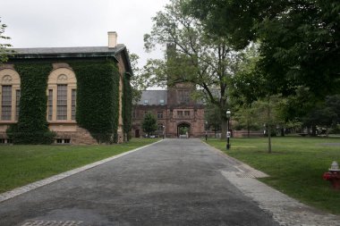 Eski duvardaki sarmaşıklı beyaz pencere. Princeton Üniversitesi özel bir üniversitedir.