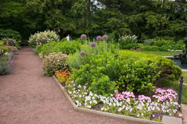 Çiçek açan çiçek tarlaları, canlı mevsimlik çiçekler ve yemyeşil bitkilerle dolu manzaralı bir bahçe. Bahçıvanlık, peyzaj, bahar ve yaz temaları ya da doğa teması için mükemmel. Çevre dostu yaşam tarzı için ideal, açık hava tasarımı,