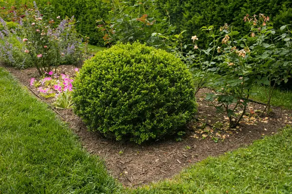 Çiçek açan çiçek tarlaları, canlı mevsimlik çiçekler ve yemyeşil bitkilerle dolu manzaralı bir bahçe. Bahçıvanlık, peyzaj, bahar ve yaz temaları ya da doğa teması için mükemmel. Çevre dostu yaşam tarzı için ideal, açık hava tasarımı,