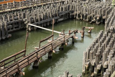 Aktif kıdemli adam New York 'ta seyahat ediyor. 75 yaşında bir adam, altın yıllarında macera ve bağımsızlığı kucaklayarak New York sokaklarını keşfediyor..