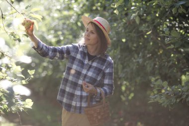 35 yaşında, güneşli bir meyve bahçesinde elma ağaçlarıyla çevrili hasır şapka takan bir kadının huzurlu portresi. Doğal güzelliği, sakinliği ve doğayla bağlantıyı yakalar..