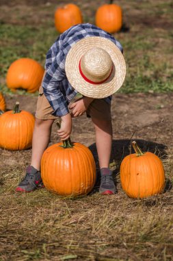 Güneşli bir tarlada parlak turuncu balkabaklarının arasında oturan sevimli genç bir çocuk sonbaharın ve çocukluk sevincinin özünü yakalıyor..