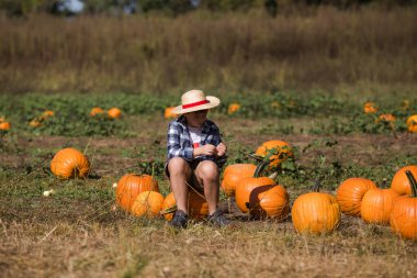Güneşli bir tarlada parlak turuncu balkabaklarının arasında oturan sevimli genç bir çocuk sonbaharın ve çocukluk sevincinin özünü yakalıyor..
