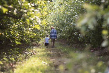 İki erkek kardeş, on ve iki yaşındalar. Güneşli bir elma bahçesinde el ele yürüyorlar. Arkadan bakıyorlar. Çocukluğun, ailenin ve kırsal hayatın dokunaklı bir anı..