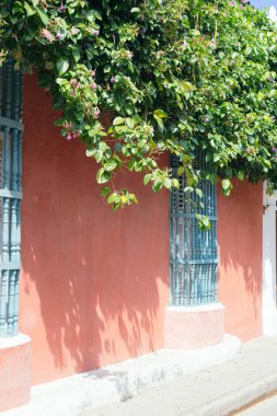 Cartegena 'nın renkli caddesi. Koloni mimarisi