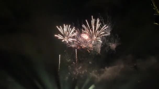 Many Fireworks Explode Night Sky Festival — Stockvideo