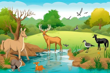 Doğal ortamında Fauna 'nın tasviri