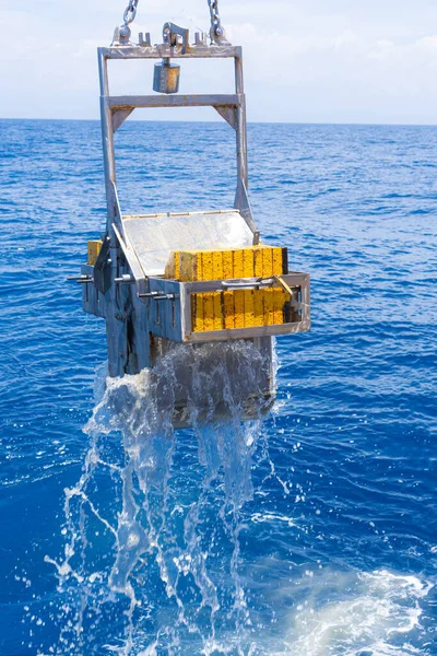 Deep Sea Exploration Benthic Samples Stock Photo