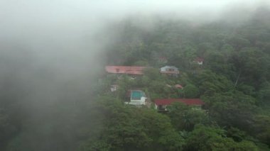 Ilıman yağmur ormanlarının sisli ve alçak bulutlu hava manzarası.
