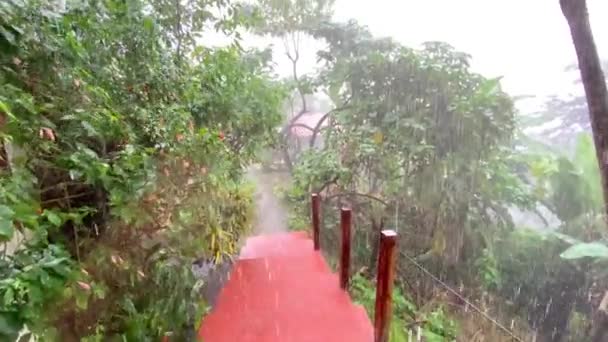 Άποψη Της Έντονης Βροχής Που Περιβάλλεται Από Φύση — Αρχείο Βίντεο