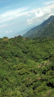 Güneşli bir günde yağmur ormanlarının havadan görünüşü