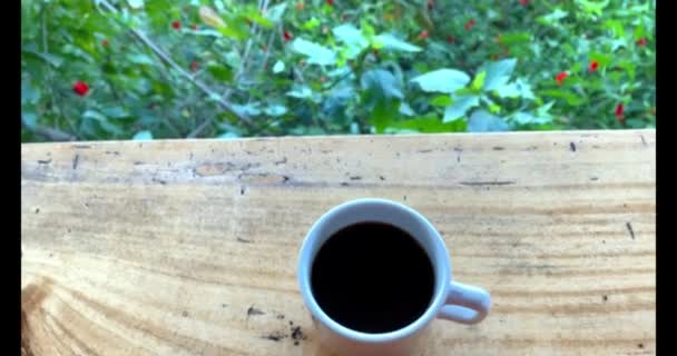 Uma Xícara Café Com Montanhas Fundo — Vídeo de Stock