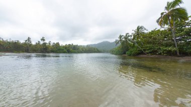 Sakin bir nehir kıyısında, palmiye ağaçları ile kapalı bir gün.