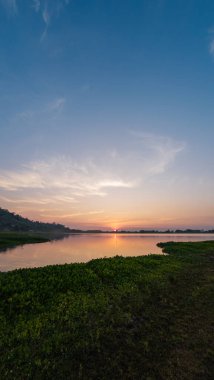 Gökyüzünde ılık renkler ve ön planda yemyeşil su bitkileriyle sakin bir göl batımının dikey görüntüsü..