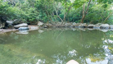 Bereketli yeşillik ve kayalarla çevrili sakin bir orman göleti manzarası.