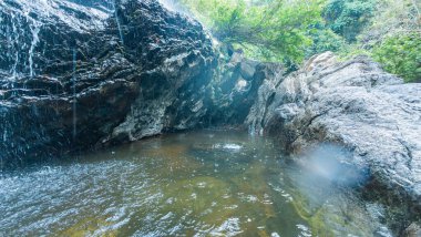 Issız bir kaya havuzu, yemyeşil bir ormandaki küçük, parıldayan bir şelaleyle besleniyor..