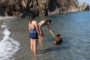 Latin kadınlar ve bir köpek sahilde eğleniyor, top suda, kayalık zemin.