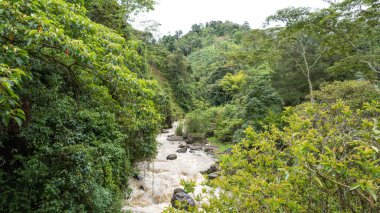 La Herrera Akıntısı, Jardin, Suroeste, Antioquia, Kolombiya