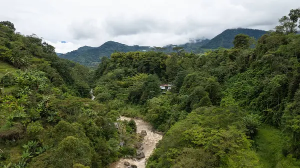 Flowing River ve Distant Mountains ile yemyeşil bir vadi. Jardin, Kolombiya