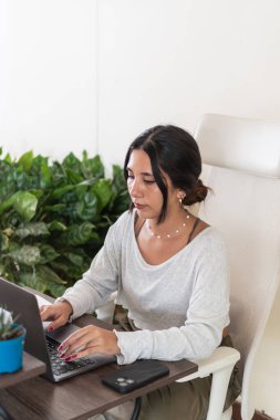 İşine odaklanmış genç bir iş kadını, bitkilerle çevrili rahat bir ofis ortamında dizüstü bilgisayarda daktilo kullanıyor.