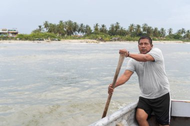 Tropik bir sahil şeridi boyunca palmiye ağaçlarıyla kürek çeken bir adam.