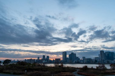 Mavi gökyüzü, bazı bitkiler ve bazı binalar (Umeda, Osaka, Japonya) (20221208-011)