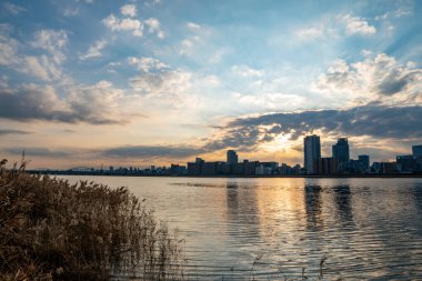 Arka planda mavi gökyüzü, bazı bitkiler ve Umeda şehri (Umeda, Osaka, Japonya) (2021220-028)