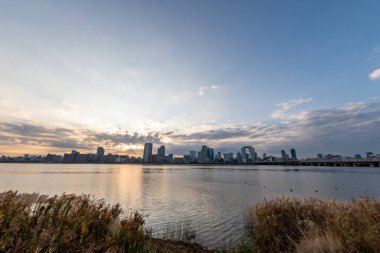 Arka planda mavi gökyüzü, bazı bitkiler ve Umeda şehri (Umeda, Osaka, Japonya) (2021220-017)