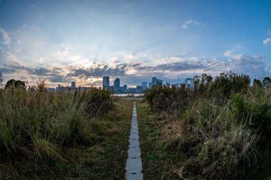 Gündoğumu sırasındaki (Umeda, Osaka, Japonya) (2021220-014) arka planında nehir ve Umeda şehri bulunan bitkilerle çevrili bir yolun görüntüsü)