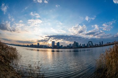 Arka planda mavi gökyüzü, bazı bitkiler ve Umeda şehri (Umeda, Osaka, Japonya) (20230606-009) ile nehir kenarı manzarası)