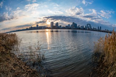 Arka planda mavi gökyüzü, bazı bitkiler ve Umeda şehri (Umeda, Osaka, Japonya) (20230606-007)