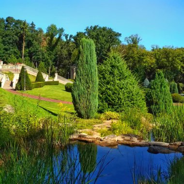 Ukrayna 'daki Mezhyhirya Milli Parkı. Yaz, gölet, parlak yeşillik, güzel manzara.