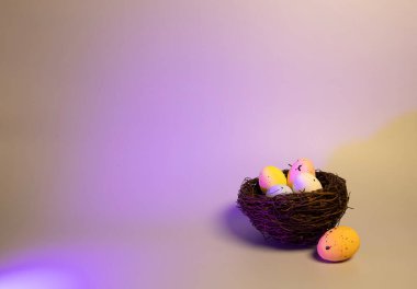 Renkli ve canlı Paskalya yumurtalarıyla dolu çok güzel yapılmış bir kuş yuvası.