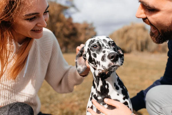 Onnellinen Pari Leikkii Koiran Kanssa Puistossa — kuvapankkivalokuva