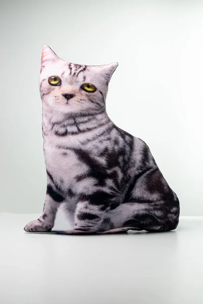 Polštář Formě Kočky Bílém Pozadí — Stock fotografie