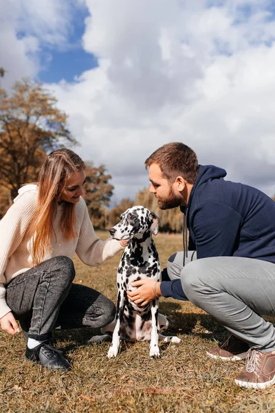 情侣们在公园散步时与他的达尔马提亚犬玩耍 — 图库照片