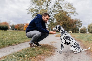 Labrador 'u açık havada olan yakışıklı bir gencin kırpılmış görüntüsü. Yeşil çimlerde köpekli bir adam. Cynologist.