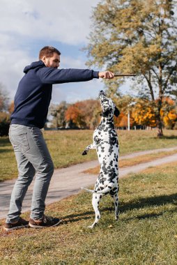 Dışarıda köpeği olan yakışıklı genç bir adam. Yeşil çimlerde köpekli bir adam. cynologist.