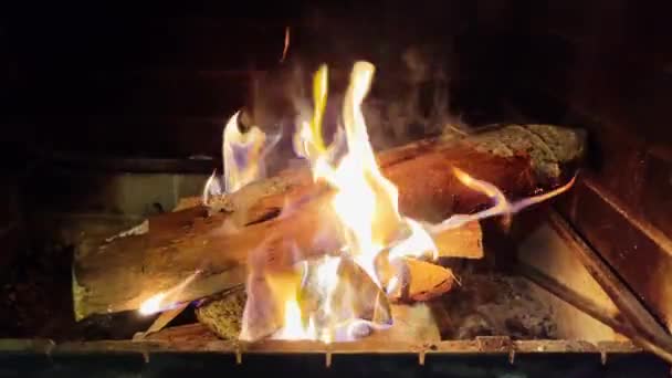 Een Vuur Verbrandt Een Open Haard — Stockvideo
