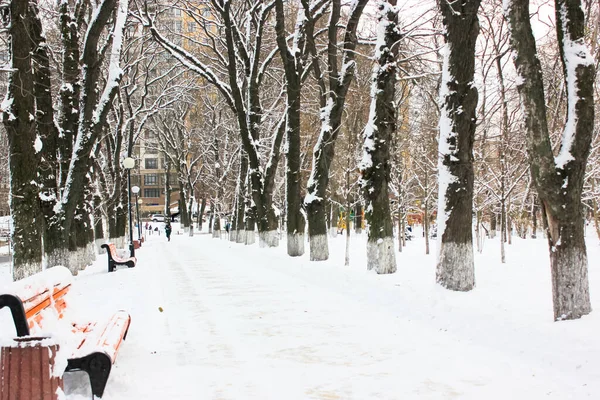 人のいない寒い日に雪の多い冬の公園では 道が遠くに入ります 裸の分岐木と都市公園内のウォーキングパス 雪に覆われた木製のベンチ 外を歩く場所 — ストック写真