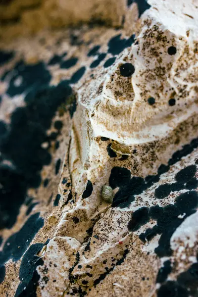 点缀米黄色的灰色尖锐的发霉的岩石地面 黑色的模子苔藓 山岩质感垂直背景 彩色墙的抽象表面 肮脏的真菌 大型自然摄影特写 — 图库照片