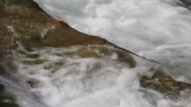 Dağ akıntıları. Nehirdeki şeffaf temiz su. Akıntı, kaynak sularının hızlı akışı. Taşlı yatak, kaya enkazı, gri taşlar. Parkta şelale, orman, soğuk sonbaharda orman, bahar mevsimi