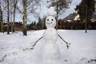 İlk kardan yapılmış çirkin gülümseyen kardan adam. Soğuk bir günde çocuklar için açık havada kış eğlencesi. Kışın, donmanın, yeni yılın ve Noel 'in sembolü. Eriyen kardan adamlar