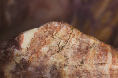 Tedavi edilmemiş ve tedavi edilmemiş farklı renk ve dokulara sahip doğal taşlar. Koyu kahverengi, sarı ve beyaz taş şekilli arka plan. Tahta taş granit, kuartzit. Duvarlar için inşaat malzemesi, döşeme. 