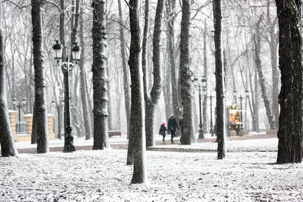 霜の日の冬の嵐 雪に覆われた冬の都市公園 雪の結晶が地面に落ちます 裸の木の幹 天気予報の概念 クリスマス2023 — ストック写真