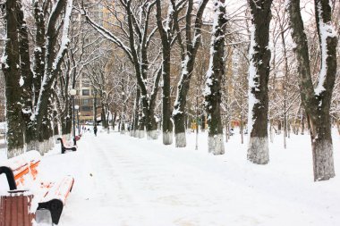 Dondurucu soğuk bir günde, karlı kış parkında mesafeye giden bir yol. Çıplak dallı ağaçlarla şehir parkında yürüyüş yolu. Karla kaplı ahşap banklar. Açık havada yürüyüş için bir yer.