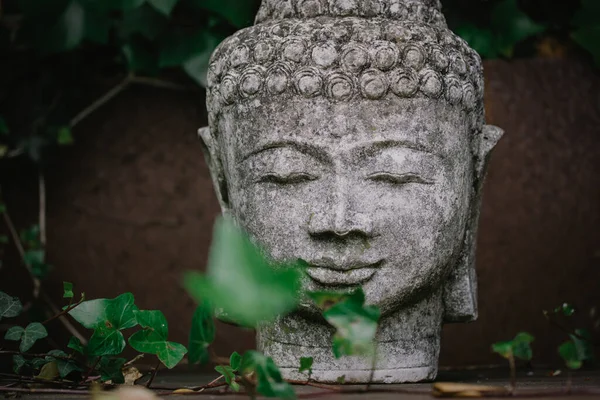 灰石佛像正面作为佛像和谐的象征 佛教信仰 在亚洲花园绿叶间静坐的地方 古旧的佛像 巴格旺或古谭佛 平静的生活 — 图库照片
