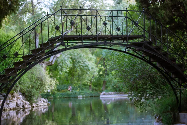 一座美丽的圆形拱桥横跨河流 碧绿平静的水 美丽的自然景观 在一个自然保护区 植物园中进行景观美化 大自然的宁静与美丽的概念 浪漫的旅行 — 图库照片